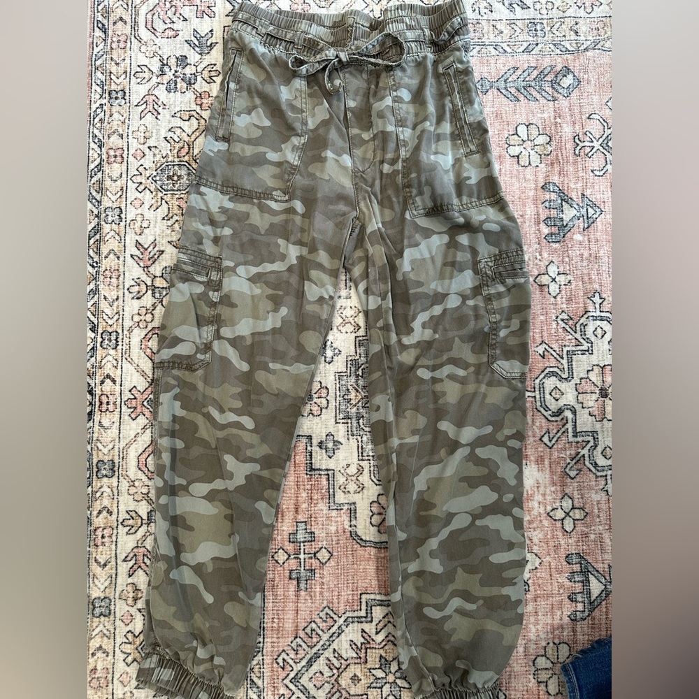 American Eagle Outfitters Camouflage Cargo Pants